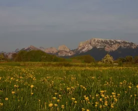 LE PLATEAU DES BORNES