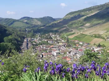 Cerdon : Ses vignes, sa grotte et son vin