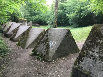 Sentiers des Toblerones  & musée du Léman