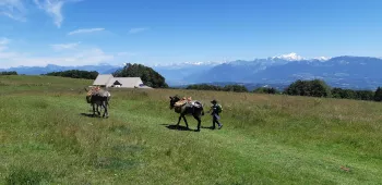 Randonnée évasion au sommet du Salève 